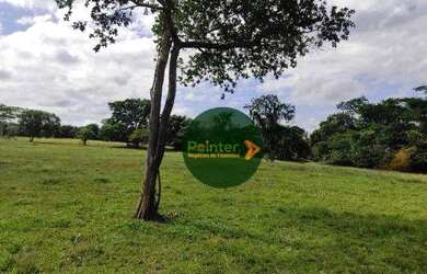 Imagem: A fazenda possui 2.100.000m² de Área e está localizado em
