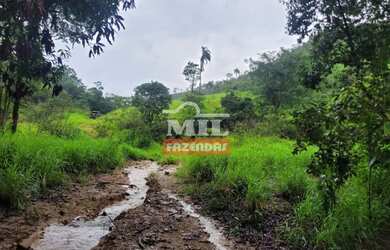 Imagem 5: Fazenda 337 Alqueires 1.638 Hectares Niquelandia - Go