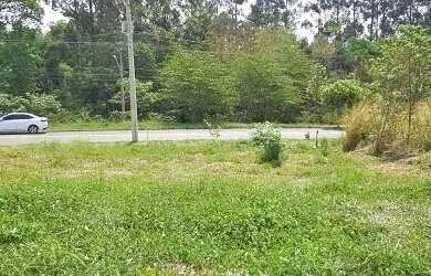 Imagem 4: TERRENO - JARDIM JUREMA - SP