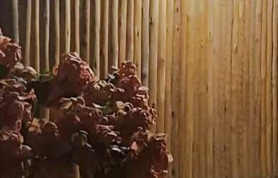 Imagem 11: Casa para temporada