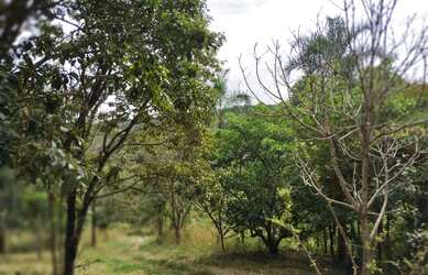 Imagem 9: Chácara em Aragoiania. 