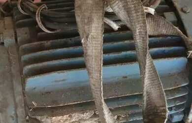 Imagem 2: Vendo motores e redutores lote fechado