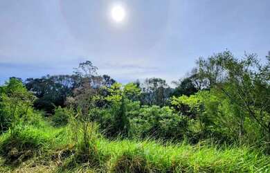 Imagem 11: Terreno para Venda em Nova Petrópolis, Pousada da Neve
