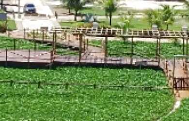 Imagem: O terreno possui 12m² de Área e está localizado em Porto