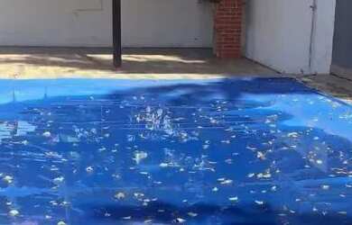 Imagem 3: Casa com 2 dormitórios à venda, 90 m² por R$ 399.000 - Chácaras de...