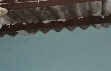 Imagem 2: Alugo casa tipo kit net (R$ 350,00