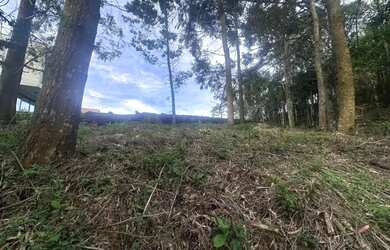 Imagem 8: Terreno - Bairro Pórtico