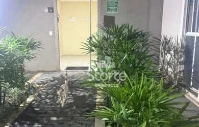 Imagem 10: Apartamento térreo com varanda estendida com 2 dormitórios à venda,...