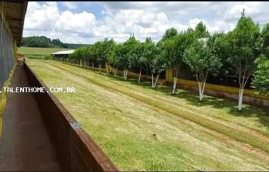 Imagem: O terreno possui 6.000m² de Área e está localizado em Ouro