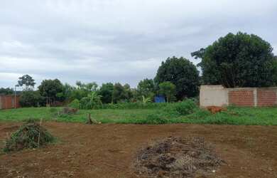 Imagem 8: Lote no incra nove ceilandia