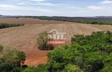 Imagem 5: Fazenda 17,5 alqueires (84,75 hectares) Piracanjuba - Go