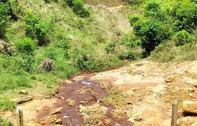 Imagem 11: Vendo maravilhosa fazenda no município de itiuba