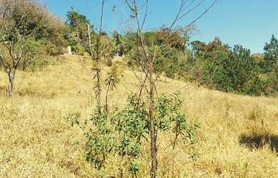 Imagem: O terreno possui 759m² de Área e está localizado em Estância