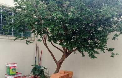 Imagem 9: Vendo casa no Jardim Europa , Goiania