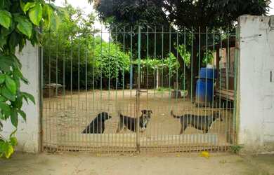 Imagem: Terreno em Chácaras Reunidas - São José dos Campos - 500m²