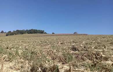 Imagem 1: Lote/Terreno para venda com 500 metros quadrados em Jardim Colonial -...