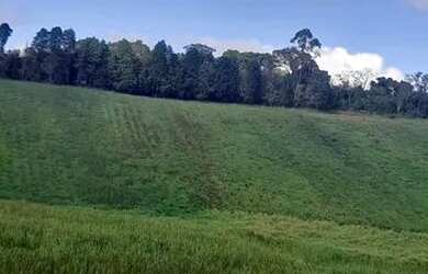 Imagem 4: Lote/Terreno para venda tem 500 metros quadrados em Jardim Helena - Carapicuíba...