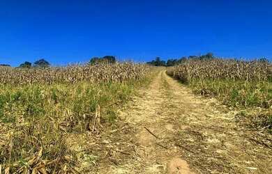 Imagem 15: Lote/Terreno para venda tem 500 metros quadrados em Usina - Atibaia -...