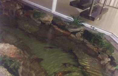 Imagem 10: Casa, 389 m² - venda por R$ 4.500.000,00 ou aluguel por R$ 21.943,00/mês...