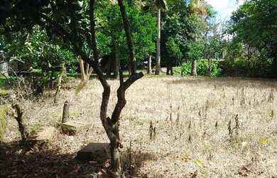 Imagem 3: Vendo um terreno em rolante RS