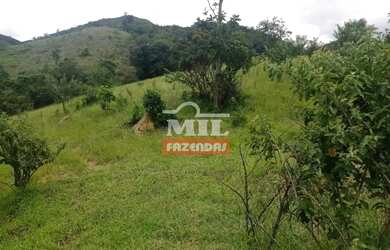 Imagem 7: Fazenda 337 Alqueires 1.638 Hectares Niquelandia - Go