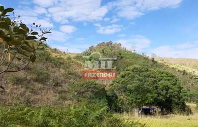 Imagem 15: Fazenda 337 Alqueires 1.638 Hectares Niquelandia - Go