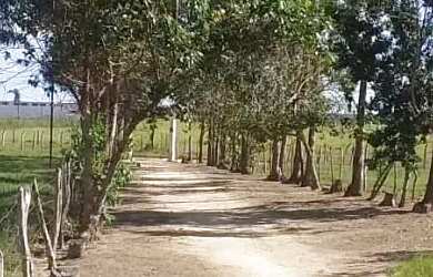 Imagem: A fazenda possui 103.699m² de Área, Churrasqueira, Piscina