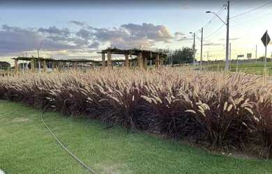 Imagem 10: Terreno à venda, 501 m² por R$ 560.000 - Villagio Toscana - Vila Atalaia...