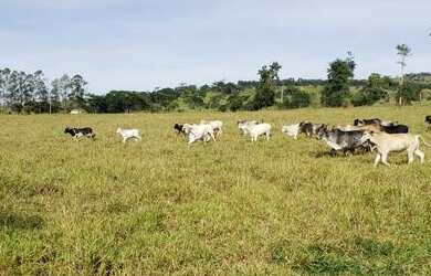 Imagem: A fazenda possui 171m² de Área e está localizado em Medeiros