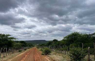 Imagem 7: Linda fazenda 600ha na rota da aeólica e casa na cidade