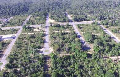 Imagem 6: Porto seguro Bahia lotes pertinho da praia 800m²