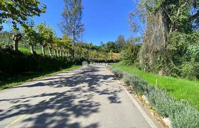 Imagem 1: MONTE BELO DO SUL - Terreno Padrão - Linha Armenio