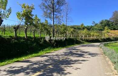 Imagem 4: MONTE BELO DO SUL - Terreno Padrão - Linha Armenio