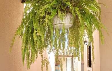 Imagem: A casa possui 2 Dormitórios, 3 Banheiros, 2 Vagas na garagem