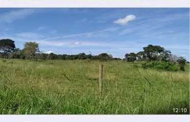 Imagem: A fazenda está localizado em Uberlândia, MG à venda por