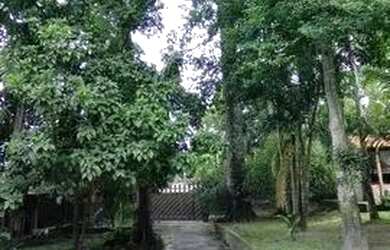 Imagem 15: //Linda mansão em Rua Com Guarita no Parque das Laranjeiras