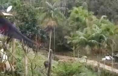 Imagem: A chácara possui 25.000m² de Área e está localizado em