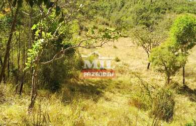 Imagem 9: Fazenda 337 Alqueires 1.638 Hectares Niquelandia - Go