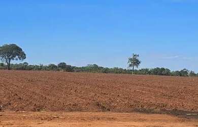 Imagem 2: Fazenda de cana. 