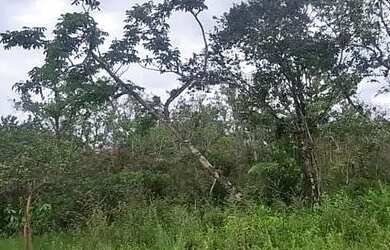 Imagem: A chácara possui 2.000m² de Área e está localizado em Juquitiba