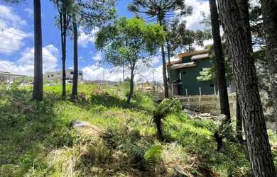 Imagem 3: Terreno - Bairro Dutra. 450m² de Área