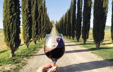 Imagem: A fazenda possui 1.000m² de Área e está localizado em Dona