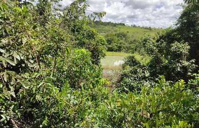 Imagem 4: Chacara De Lazer A 50 Km De Caldas Novas Em Santa Cruz De Goias