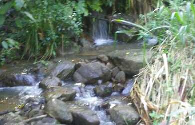 Imagem: A fazenda e está localizado em São José da Vitória, BA à