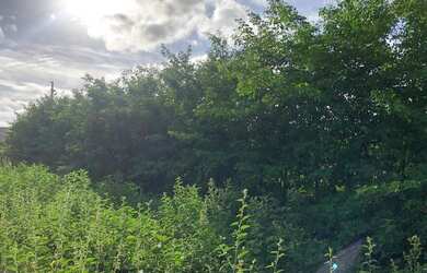 Imagem 6: Linda fazenda 600ha na rota da aeólica e casa na cidade