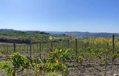 Imagem 8: MONTE BELO DO SUL - Terreno Padrão - Linha Armenio