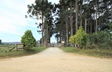 Imagem 2: FAZENDA à venda com 191760m² por R$ 7.000.000,00 no bairro Águas Claras...