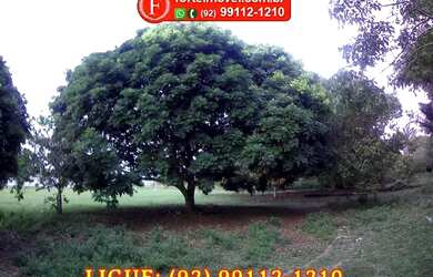 Imagem: O terreno possui 60.900m² de Área e está localizado em Tarumã