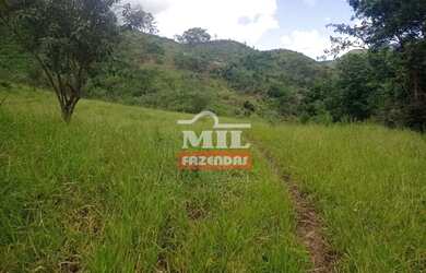 Imagem 13: Fazenda 337 Alqueires 1.638 Hectares Niquelandia - Go