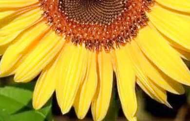 Imagem: O quarto está localizado em Icaraí, Niterói para alugar por